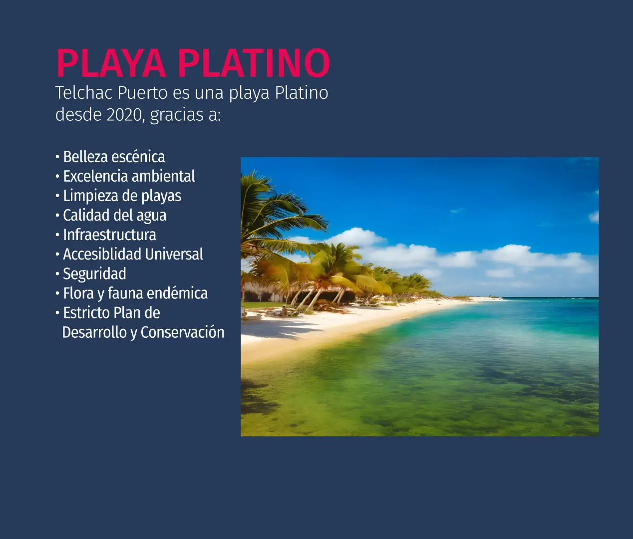 playaPlatino